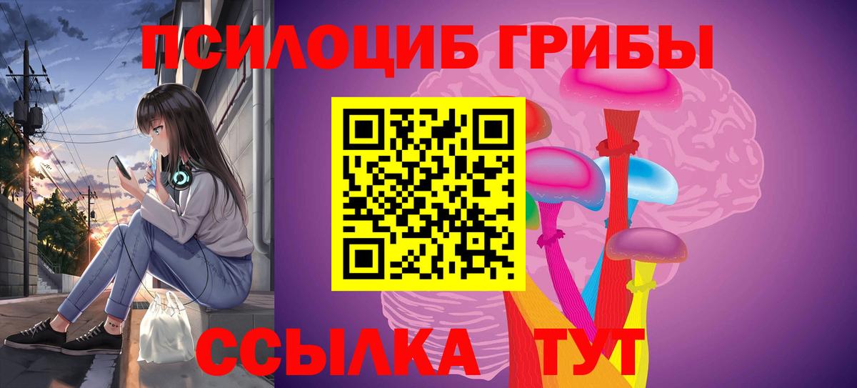 Псилоцибиновые грибы прущие грибы Острогожск
