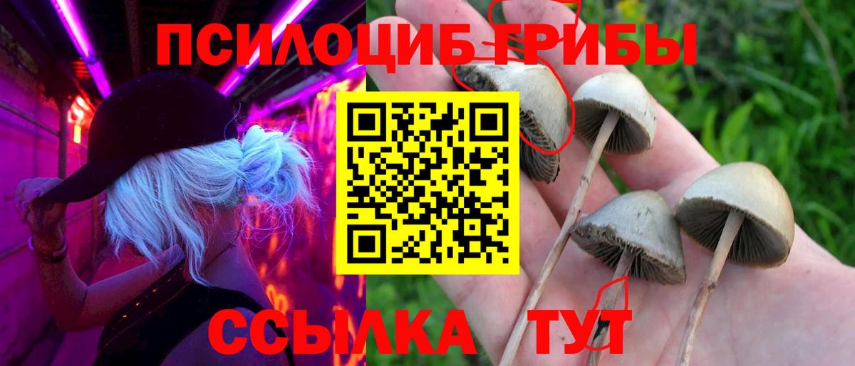 где можно купить наркотик  Вход с VPN  Псилоцибиновые грибы MAGIC MUSHROOMS  Острогожск  Псилоцибиновые грибы мицелий 